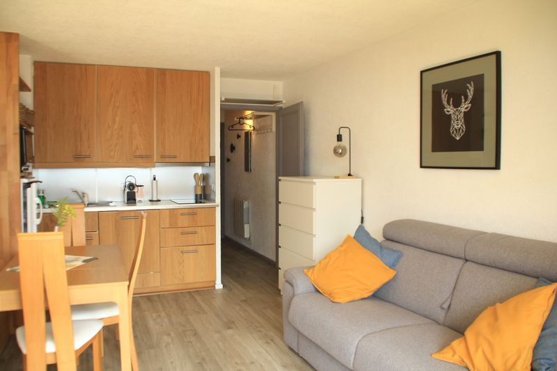Studio TOVASSIERE TS113 NATURE & VIEW 4 Pers. - Châtel