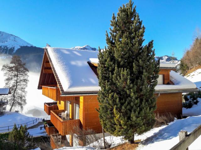 Apartment Goldenhorn - Wengen