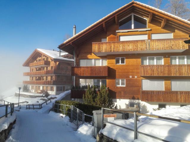 Apartment Goldenhorn - Wengen