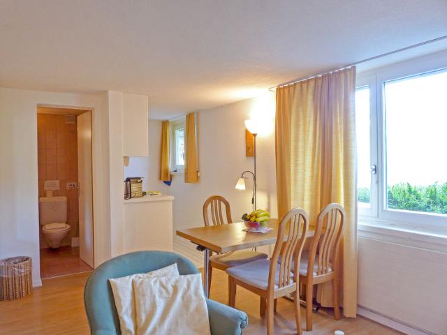 Châlet Helene Christel - Wengen