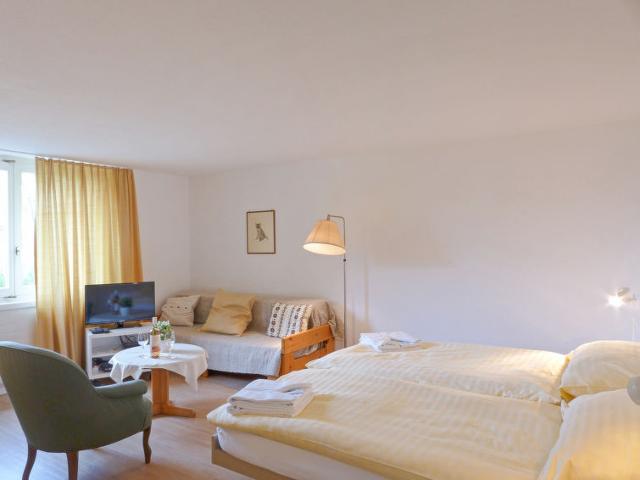 Châlet Helene Christel - Wengen