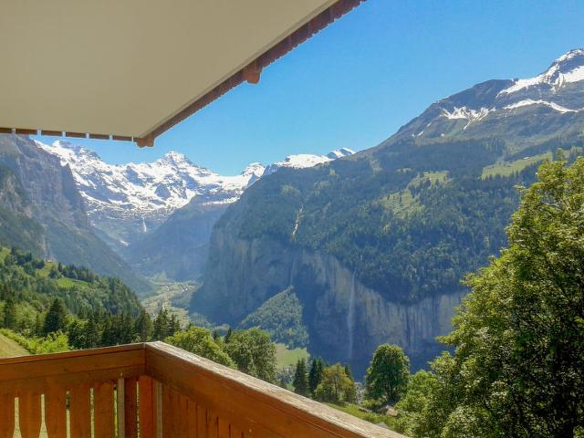 Apartment Panorama - Wengen