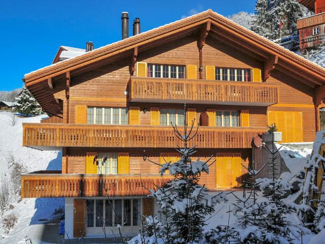 Apartment Panorama - Wengen 