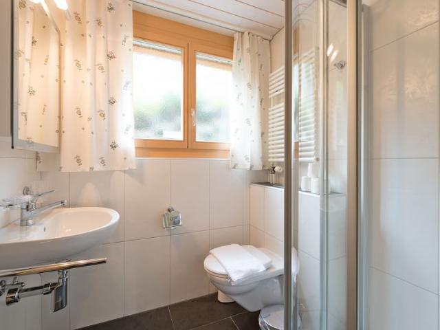 Apartment Silberhorn - Wengen