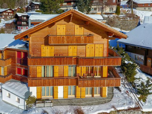 Apartment Silberhorn - Wengen