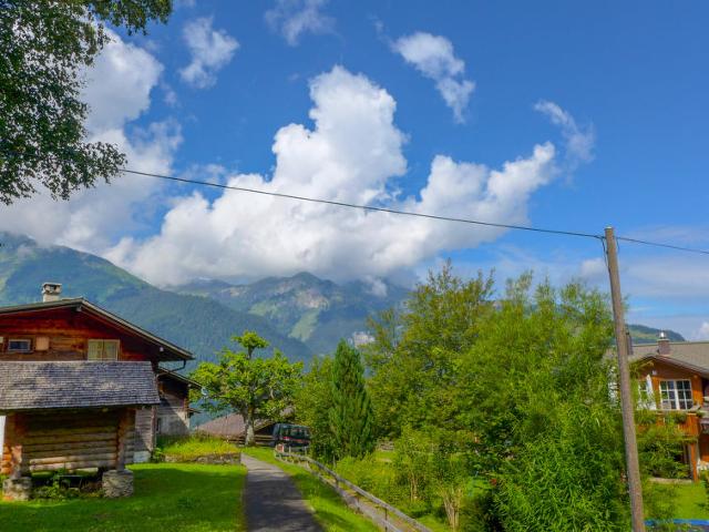 Apartment Zur Linde - Wengen 