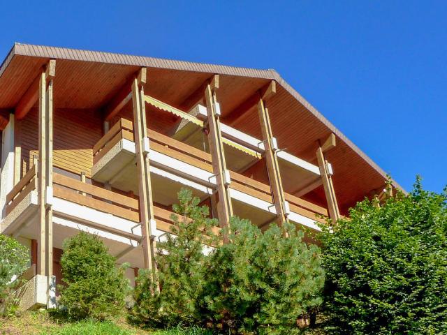 Apartment Krokus - Wengen