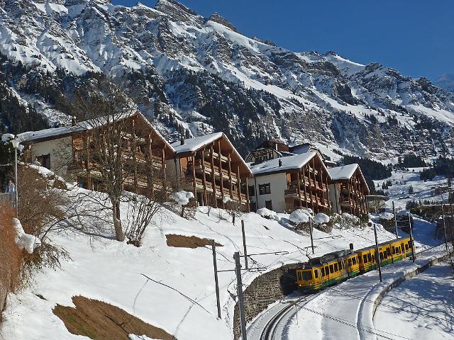 Apartment Krokus - Wengen 