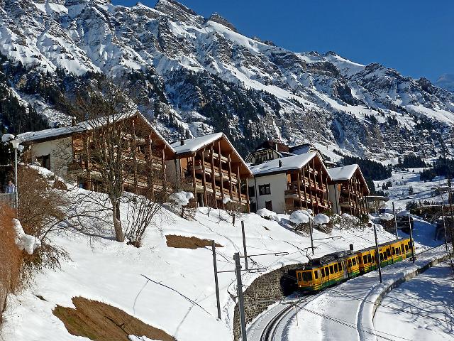 Apartment Primula - Wengen 