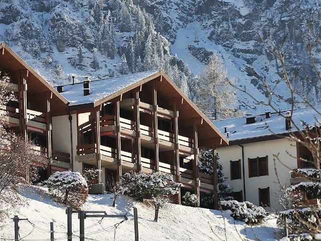 Apartment Primula - Wengen 