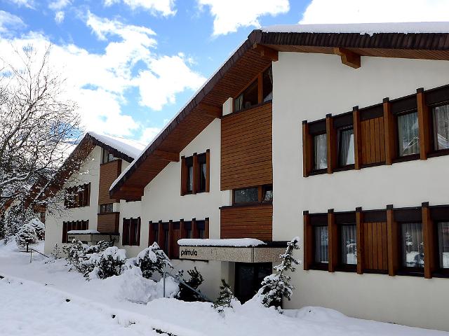 Apartment Primula - Wengen 