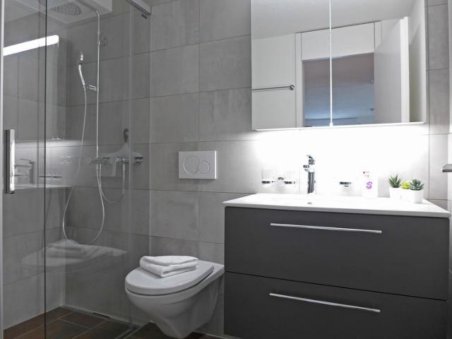Apartment Residence - Wengen