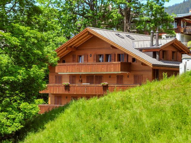 Apartment Roossihuus - Wengen