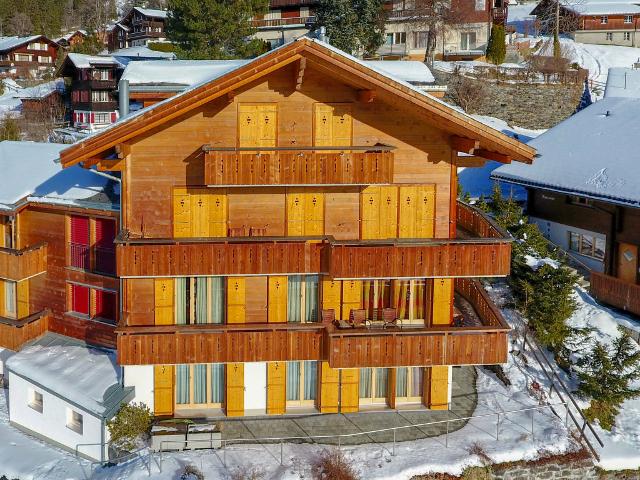 Apartment Silberhorn - Wengen 