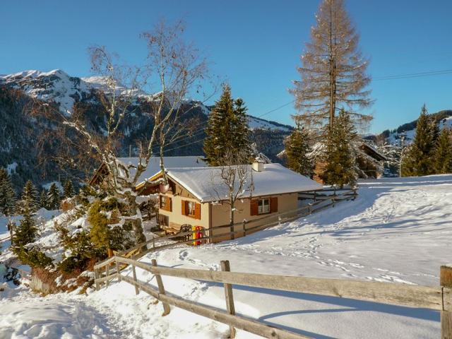 Châlet Zwärgli - Wengen