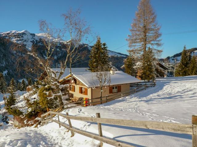 Châlet Zwärgli - Wengen 