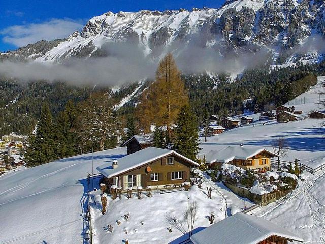 Châlet Zwärgli - Wengen 