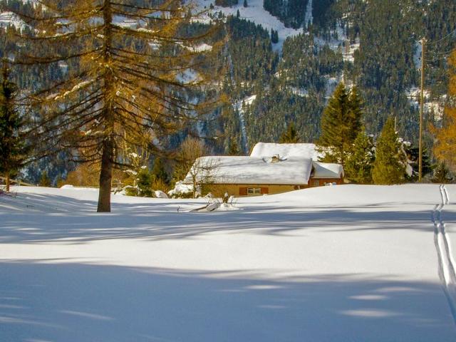 Châlet Zwärgli - Wengen
