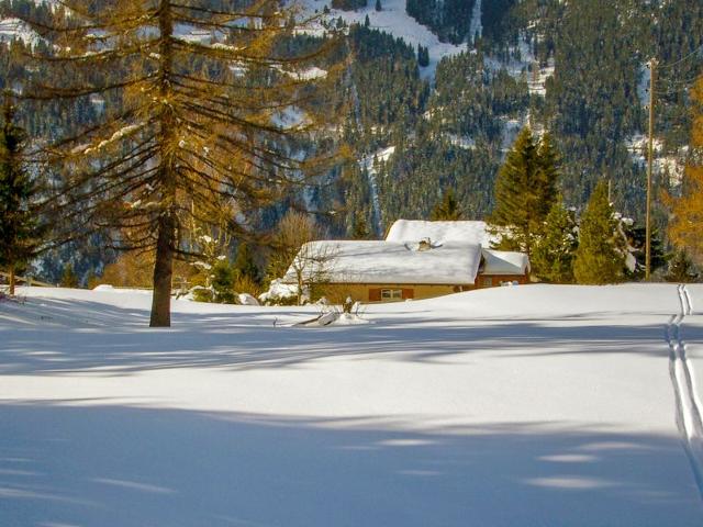 Châlet Zwärgli - Wengen 