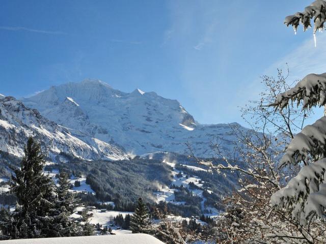 Châlet Zwärgli - Wengen 