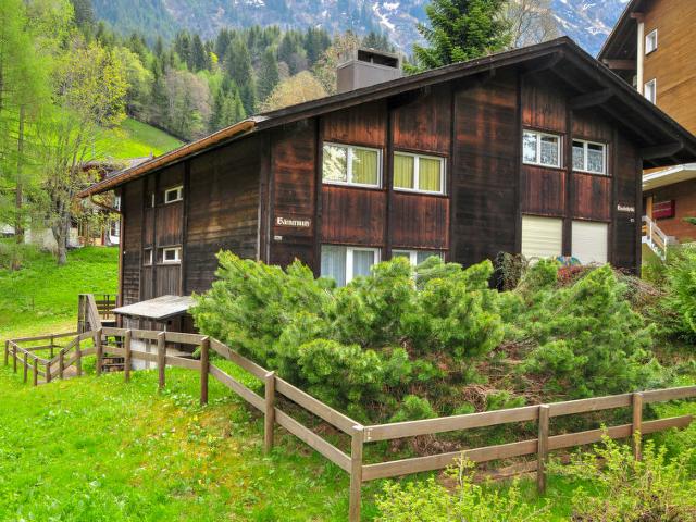 Apartment Haushälfte Bärnermutz - Wengen 