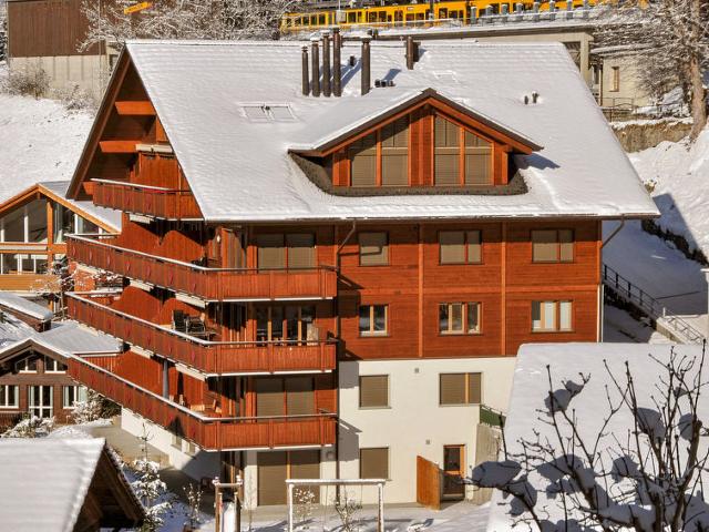 Apartment Bella Vista - Wengen