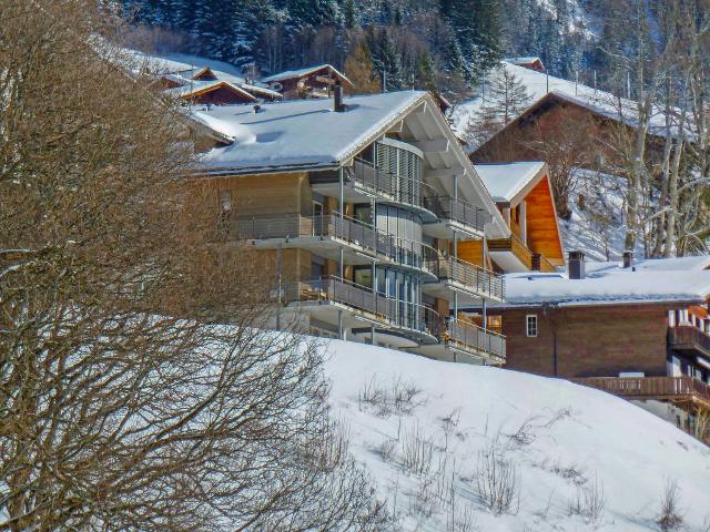 Apartment Chalet Silence - Wengen 