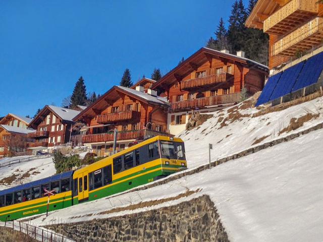 Apartment Chalet Bluemewäg - Wengen