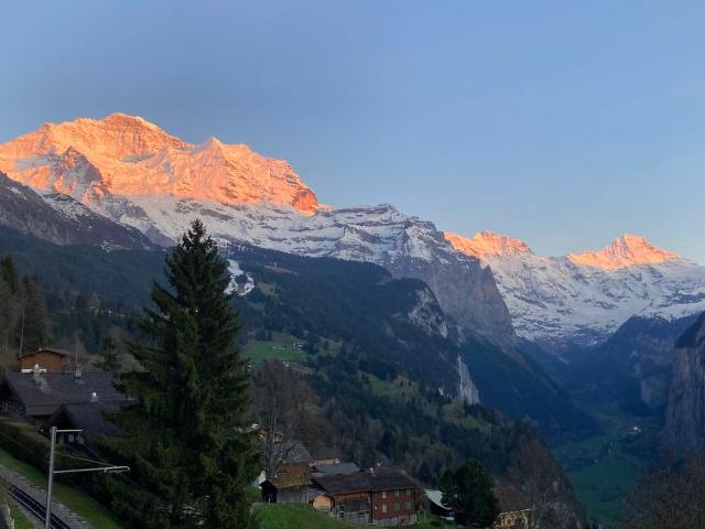 Apartment Chalet Bluemewäg - Wengen 