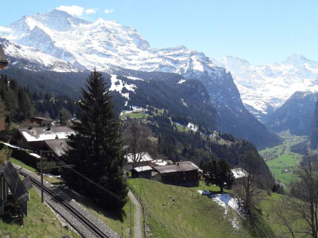 Apartment Chalet Bluemewäg - Wengen 