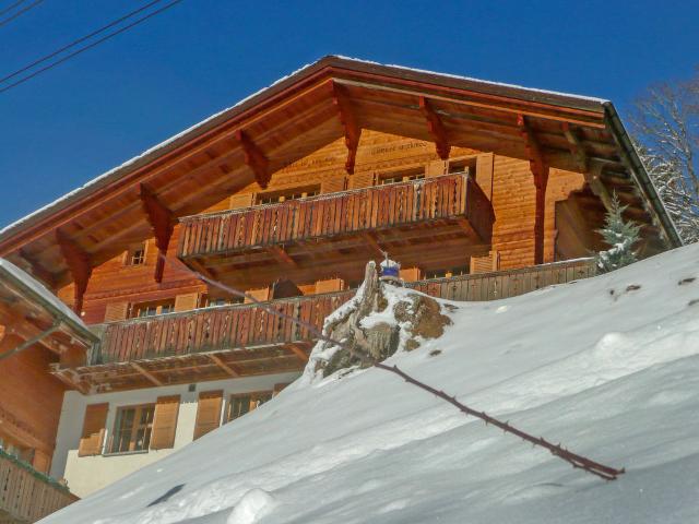 Apartment Chalet Bluemewäg - Wengen 