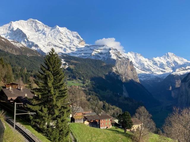 Apartment Chalet Bluemewäg - Wengen 