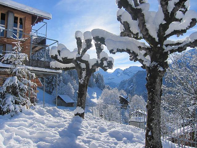 Apartment Breithorn-Residence - Wengen