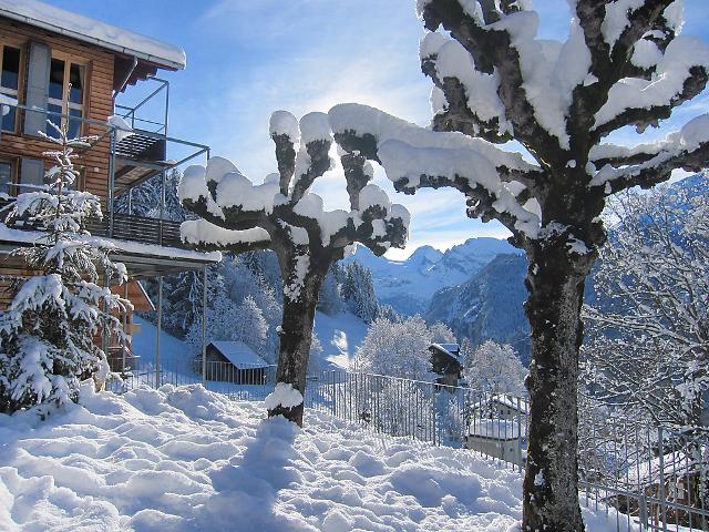 Apartment Breithorn-Residence - Wengen 