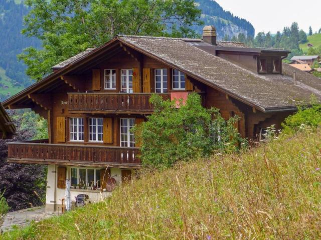 Apartment Drei Tannen - Wengen 