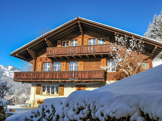 Apartment Drei Tannen - Wengen 