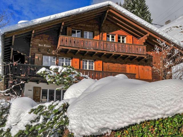 Apartment Drei Tannen - Wengen 