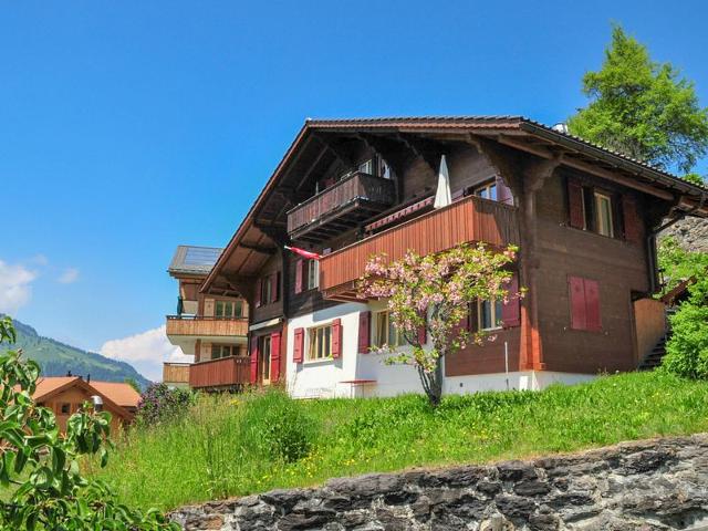 Apartment Eigersonne - Wengen 