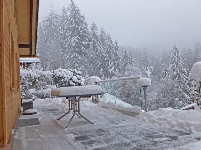 Châlet Mioche - Wengen