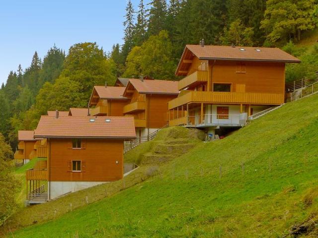 Apartment Racer’s Retreat - Wengen