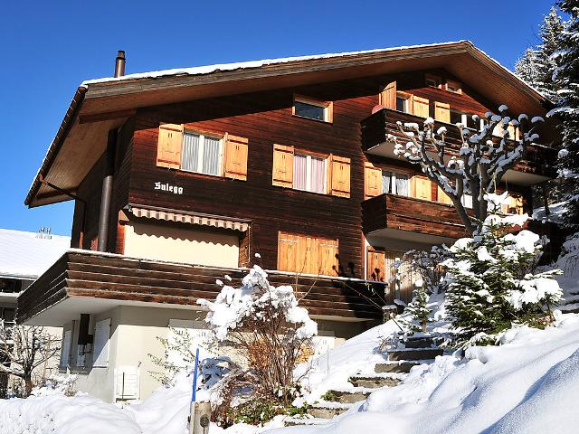 Apartment Sulegg - Wengen 