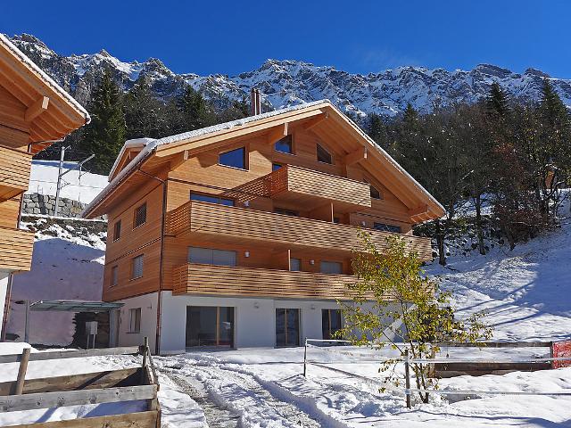 Apartment Hundschopf / Am Lehn - Wengen