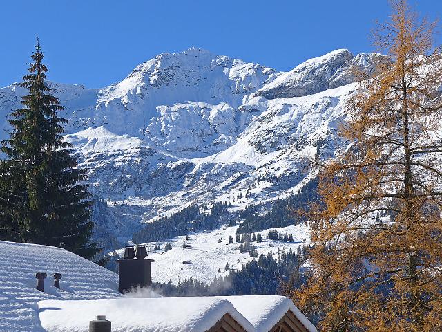 Apartment Hundschopf / Am Lehn - Wengen
