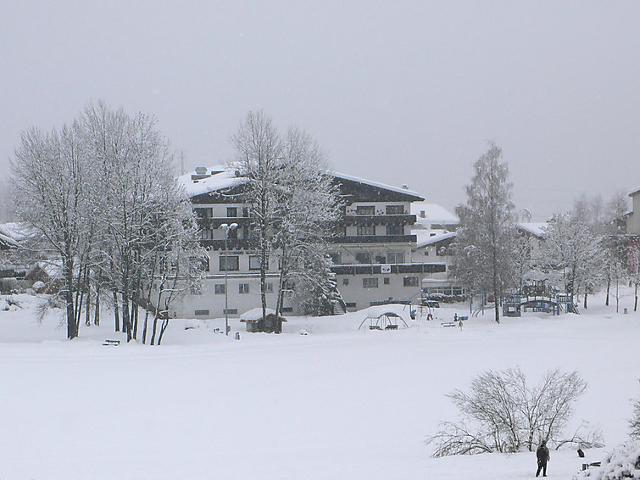 Apartment La Riva - Laax