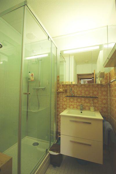 Chalet LES OURSIERES - La Norma