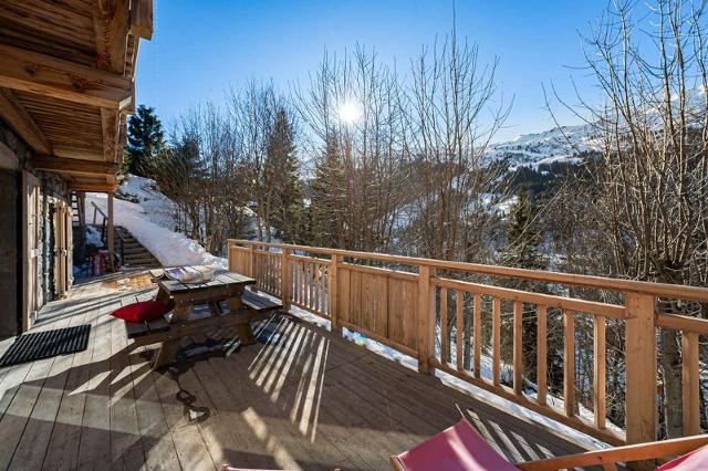 Chalet RUISSEAU DE LA RENARDE - Méribel Centre 1600