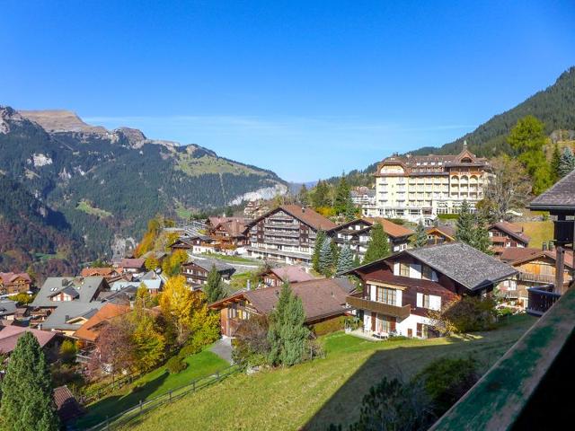 Châlet Biwak - Wengen 