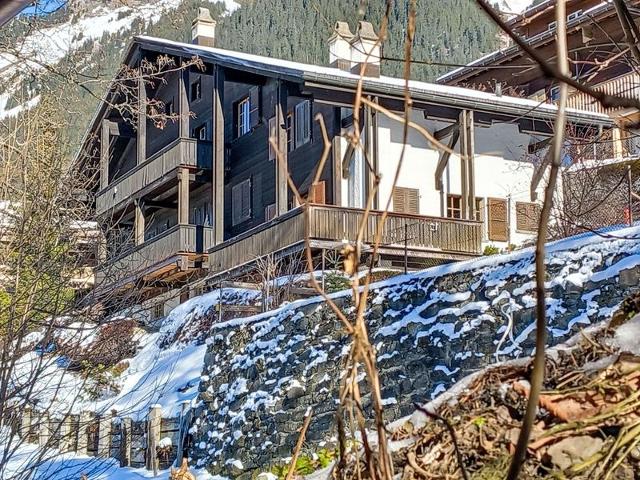 Châlet Biwak - Wengen