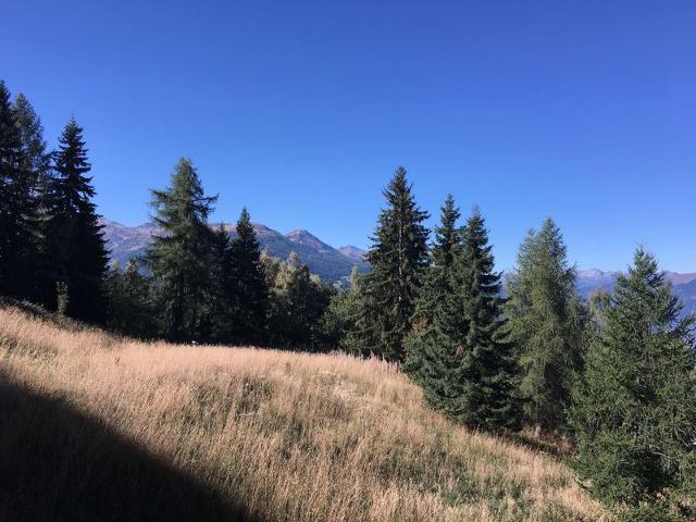 Apartements GRAND ARBOIS - Les Arcs 1800