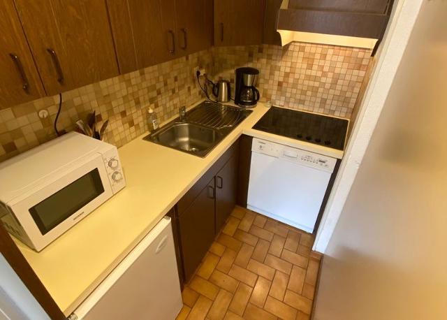 Apartements LE GREPON - Châtel